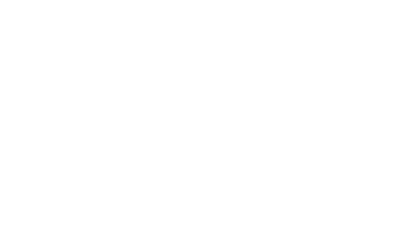 Logo Boa Visão Imóveis